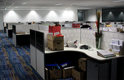 office electrical installations and lighting